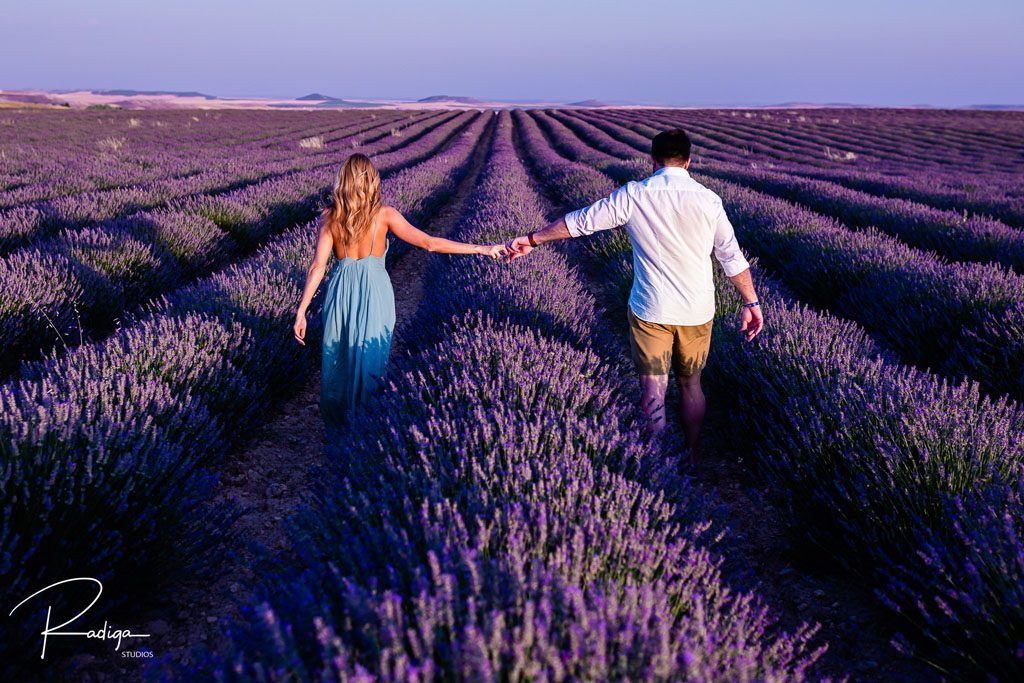 Preboda entre girasoles y campos de lavanda