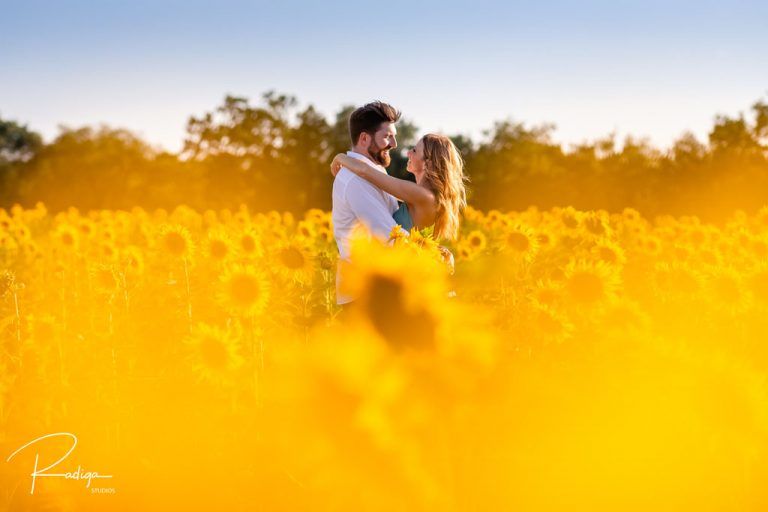 Preboda entre girasoles en Valladolid