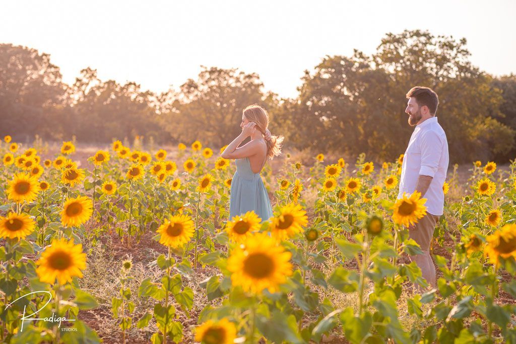 Preboda entre girasoles y campos de lavanda