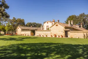 Boda en la encina milenaria de Arzuaga