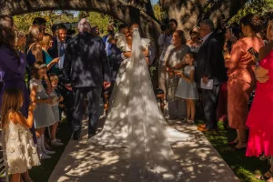 Boda en la encina milenaria de Arzuaga