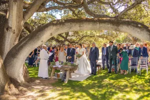 boda en la encina milenaria de arzuaga radiga fotografos de valladolid