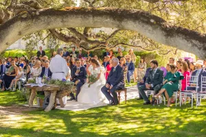 boda en la encina milenaria de arzuaga radiga fotografos de valladolid