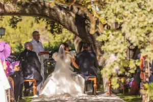 Boda en la encina milenaria de Arzuaga