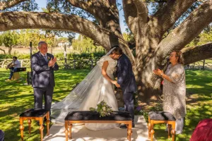 Boda en la encina milenaria de Arzuaga