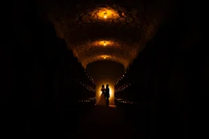 Boda en la encina milenaria de Arzuaga