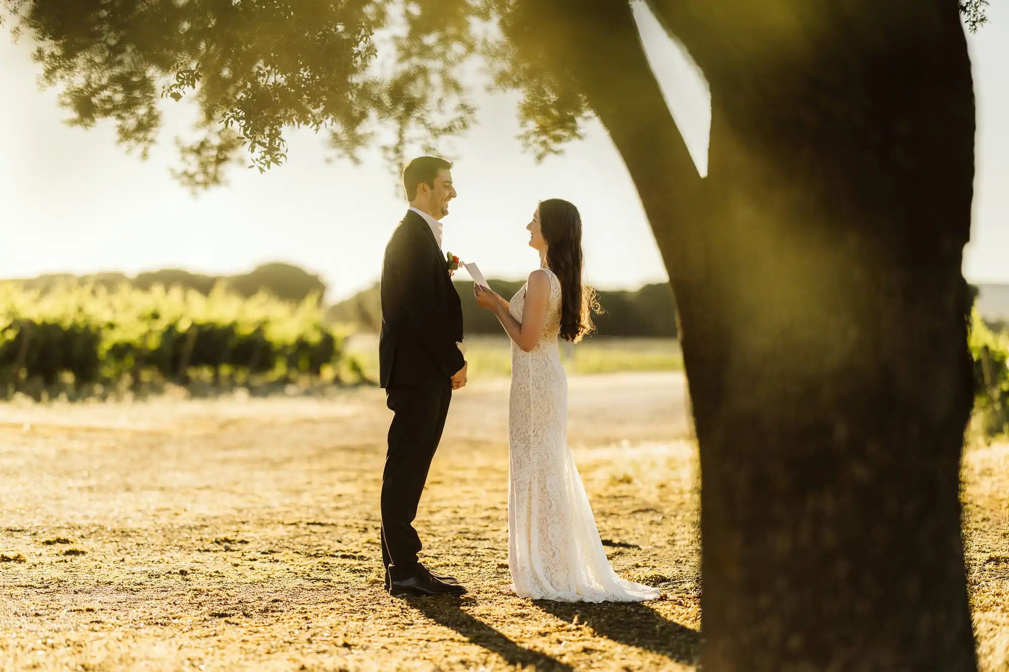 Fotógrafos de boda en Ribera del Duero: novios bajo una encina a contraluz entre los viñedos