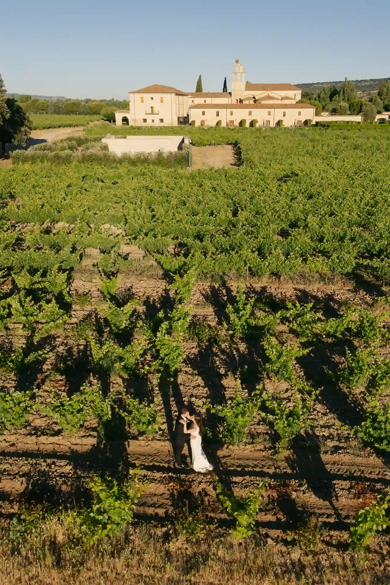 Fotógrafos de boda en Ribera del Duero: vista aérea de Abadía Retuerta y sus viñedos, Sardón de Duero