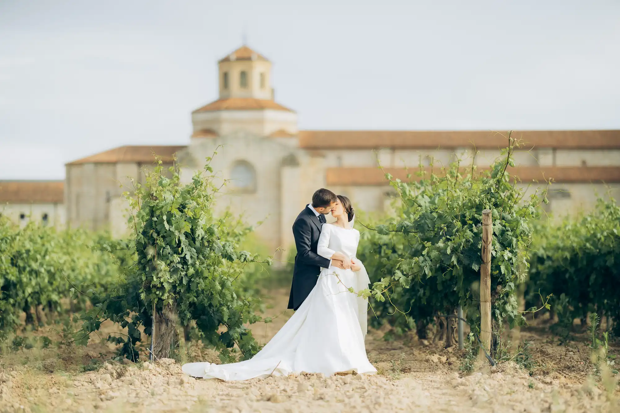 Fotógrafos de boda en Ribera del Duero: novios en el viñedo del Monasterio de Valbuena, San Bernardo
