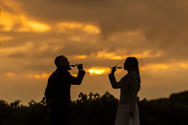 Pareja de USA brindan con vino en viñedos de Arzuaga al atardecer