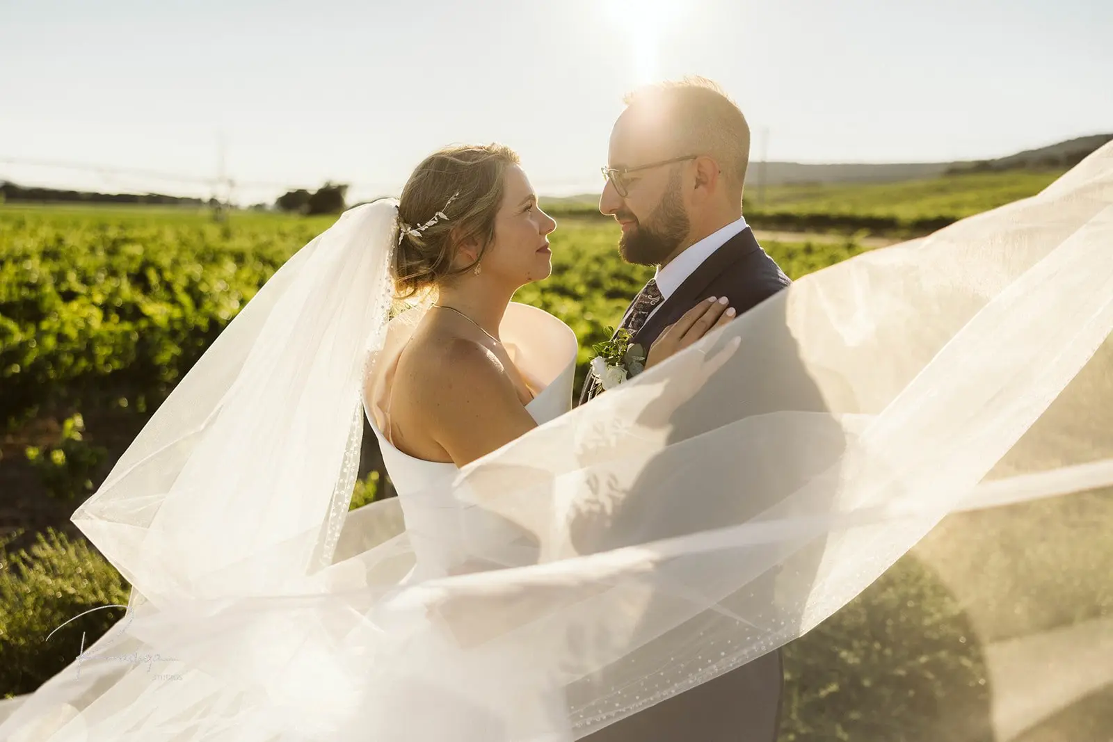 El velo de la novia al viento entre los viñedos de la Ribera del Duero