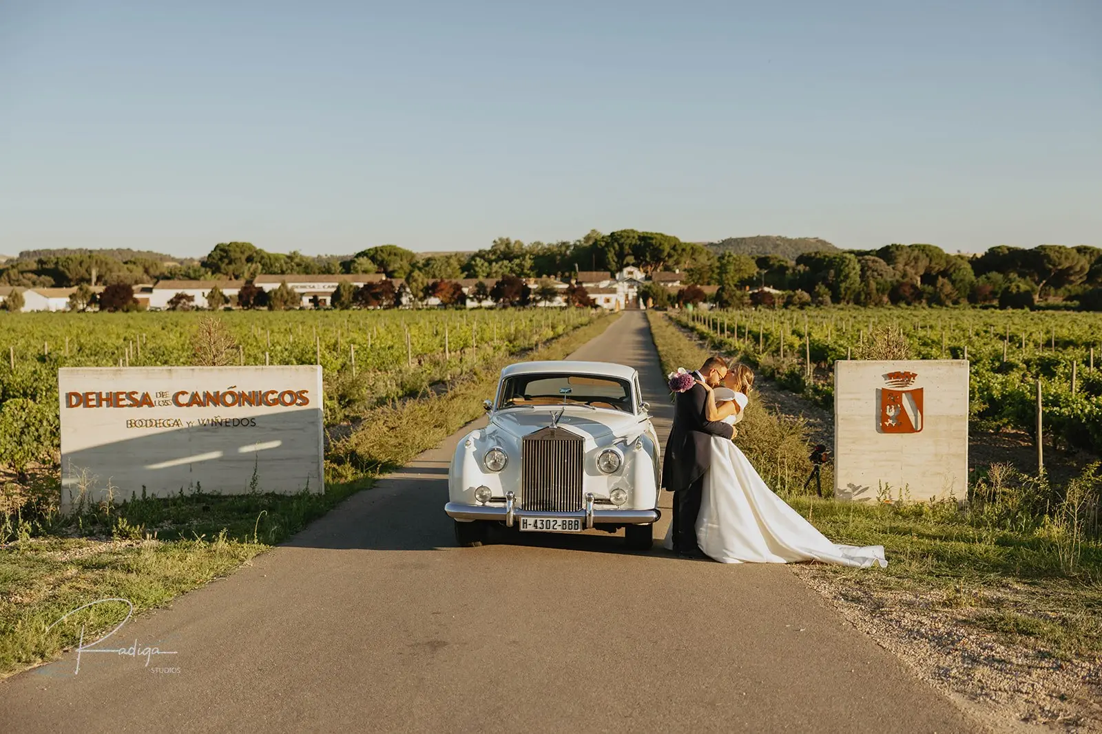 Los novios junto al cartel de Dehesa de los Canónigos con un coche clásico, entre viñedos de la Ribera del Duero