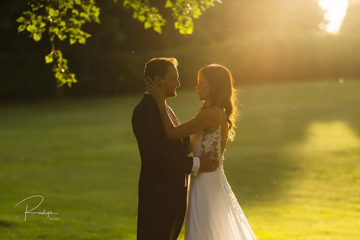 Los novios frente a frente bajo las ramas iluminadas por el sol