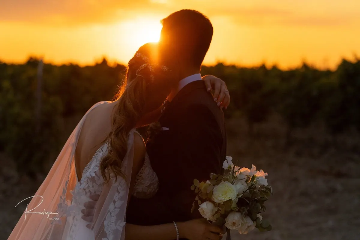 Los novios abrazados a contraluz con el sol detrás, entre las viñas