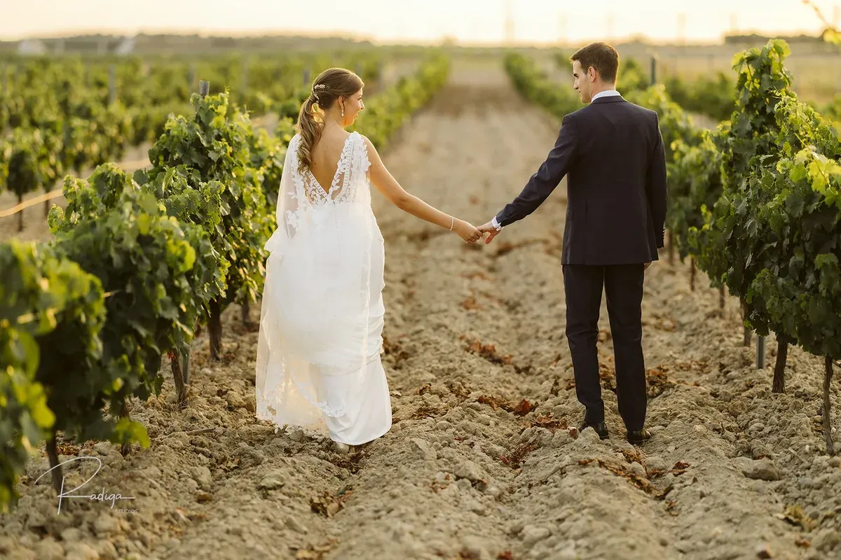 La novia lleva al novio de la mano por una hilera de viñas