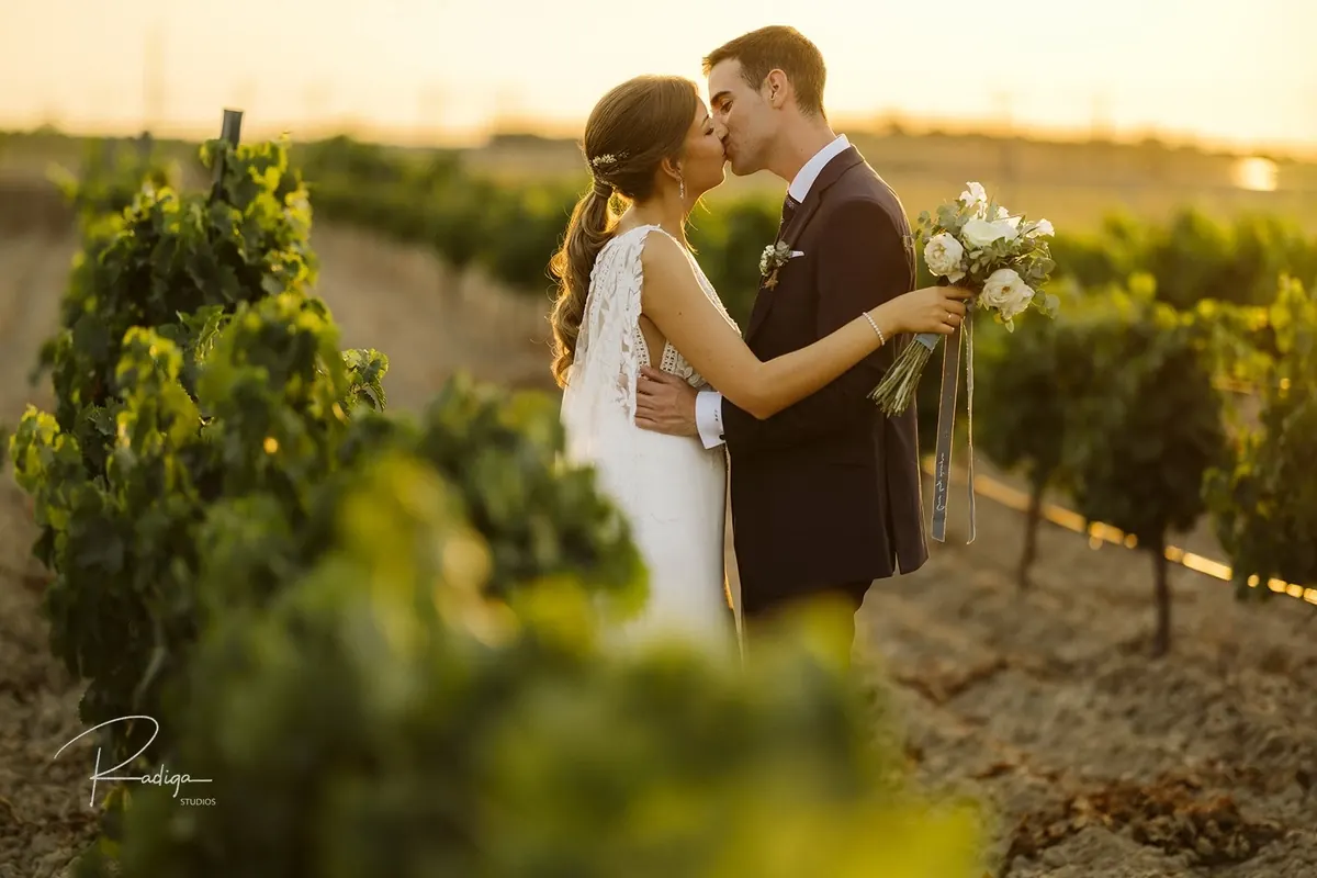Los novios abrazados entre las viñas con la luz dorada de la tarde