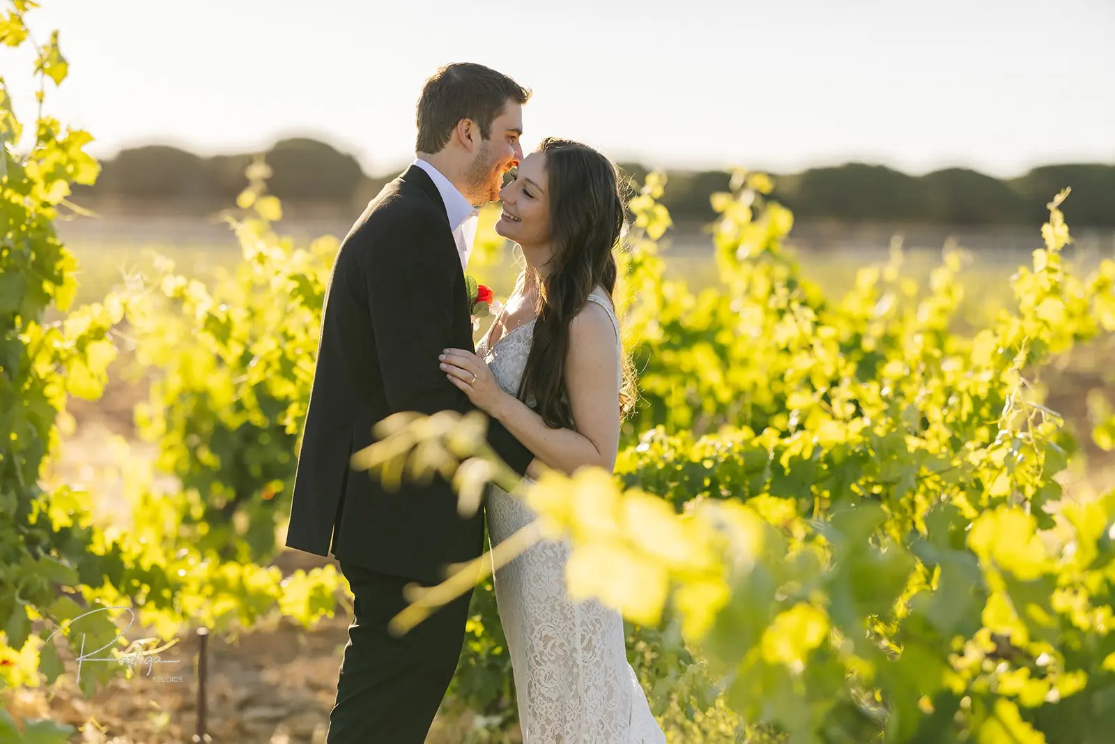 The couple kissing among the vines of Abadía Retuerta