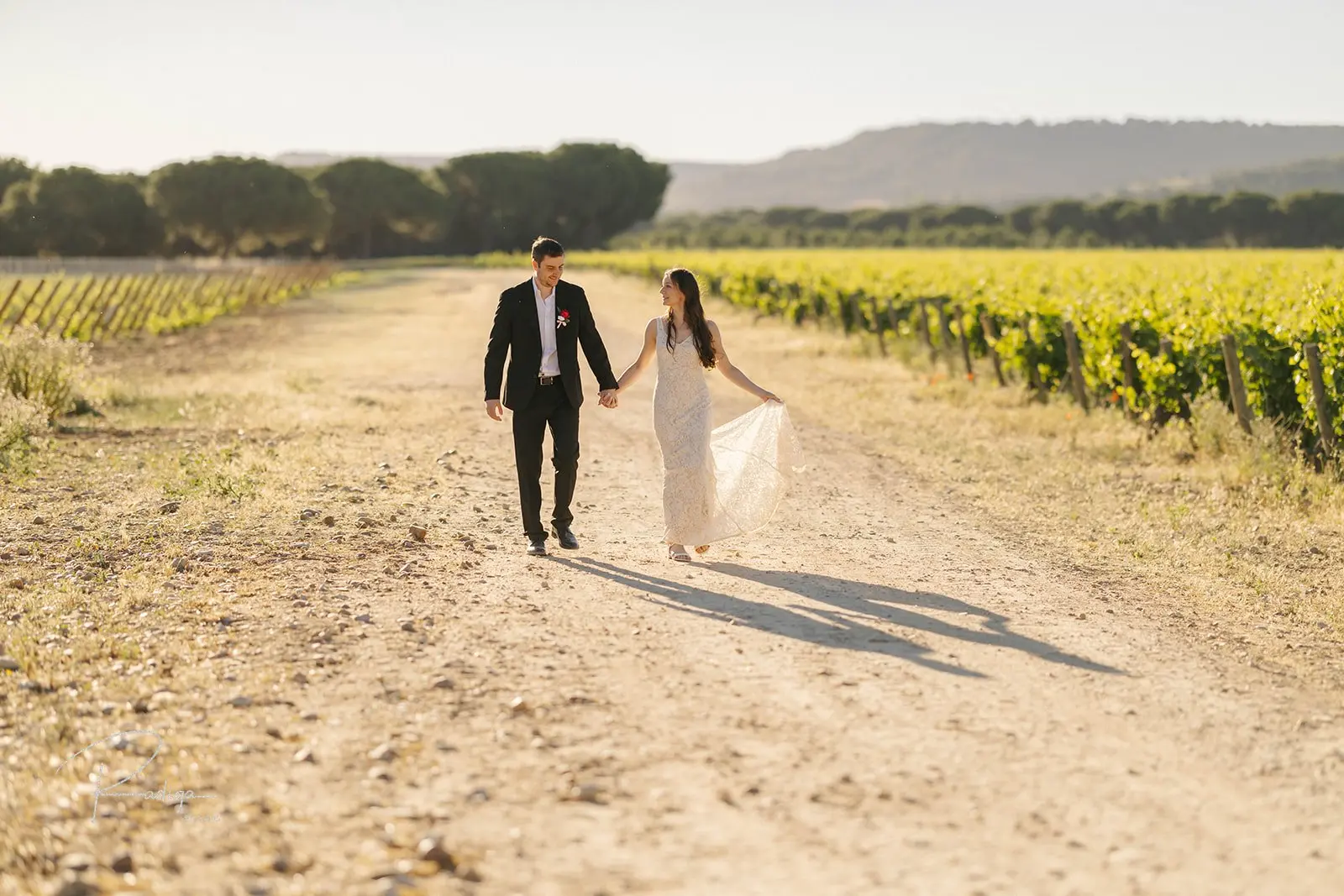 Walking hand in hand along a dirt track through the vineyards