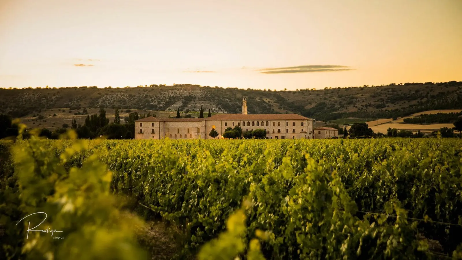 Sunrise over the vineyards of Abadía Retuerta in Ribera del Duero, Spain
