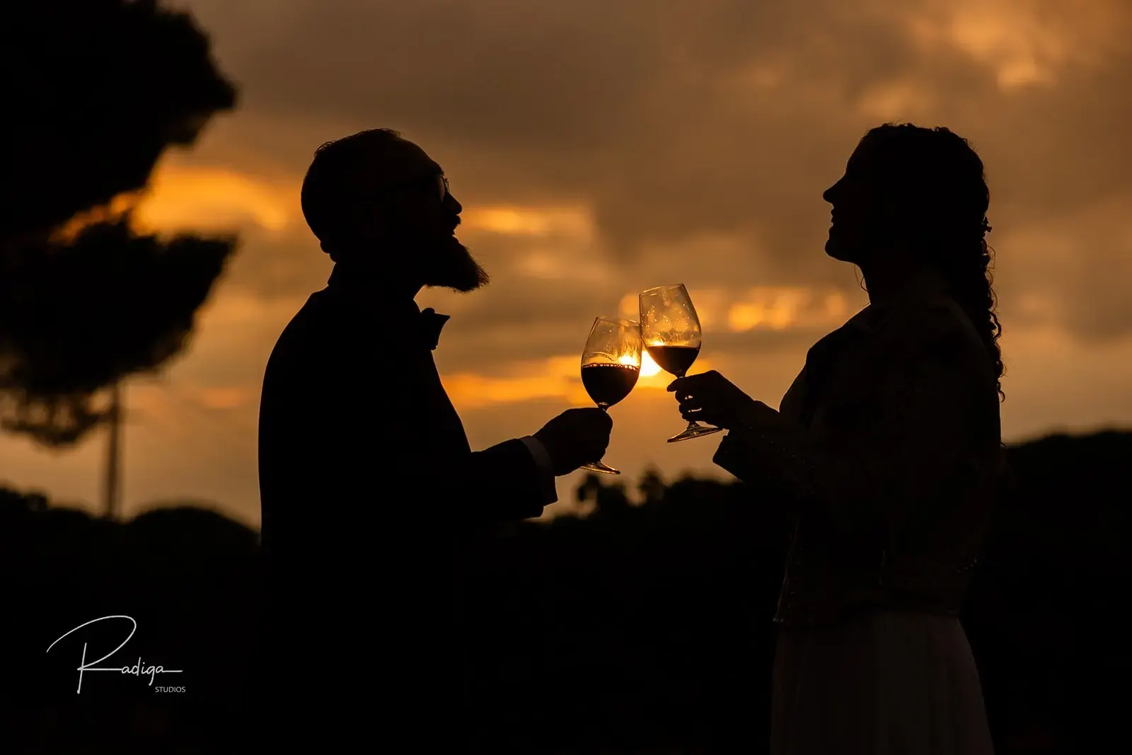Silhouette of the couple toasting with red wine at sunset