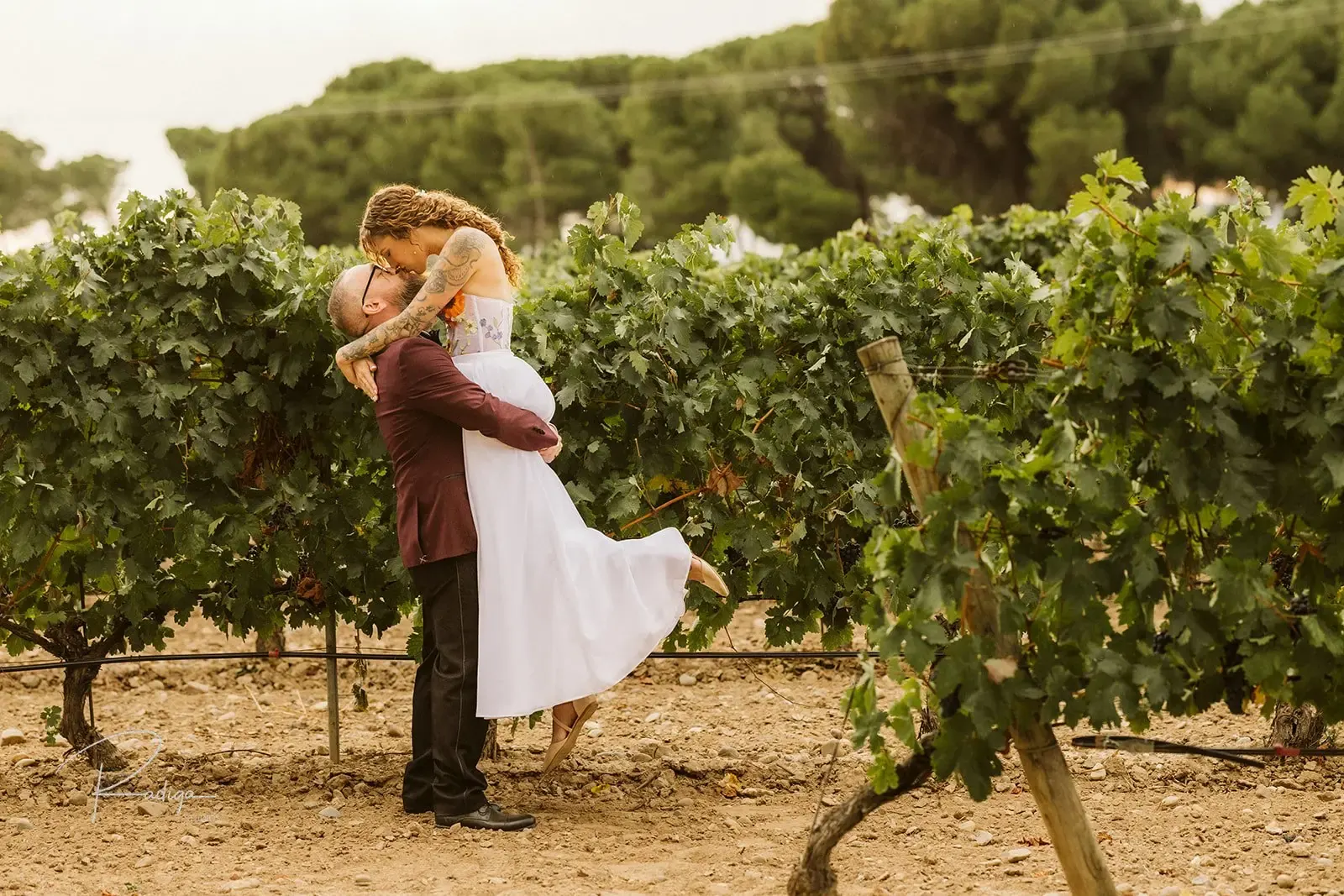 The groom lifts the bride in the vineyard