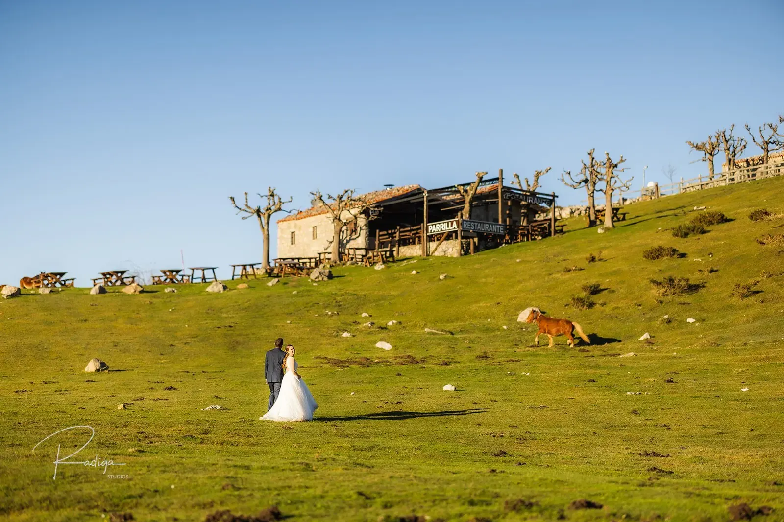 La novia camina por un prado verde junto a una cabaña de pastores