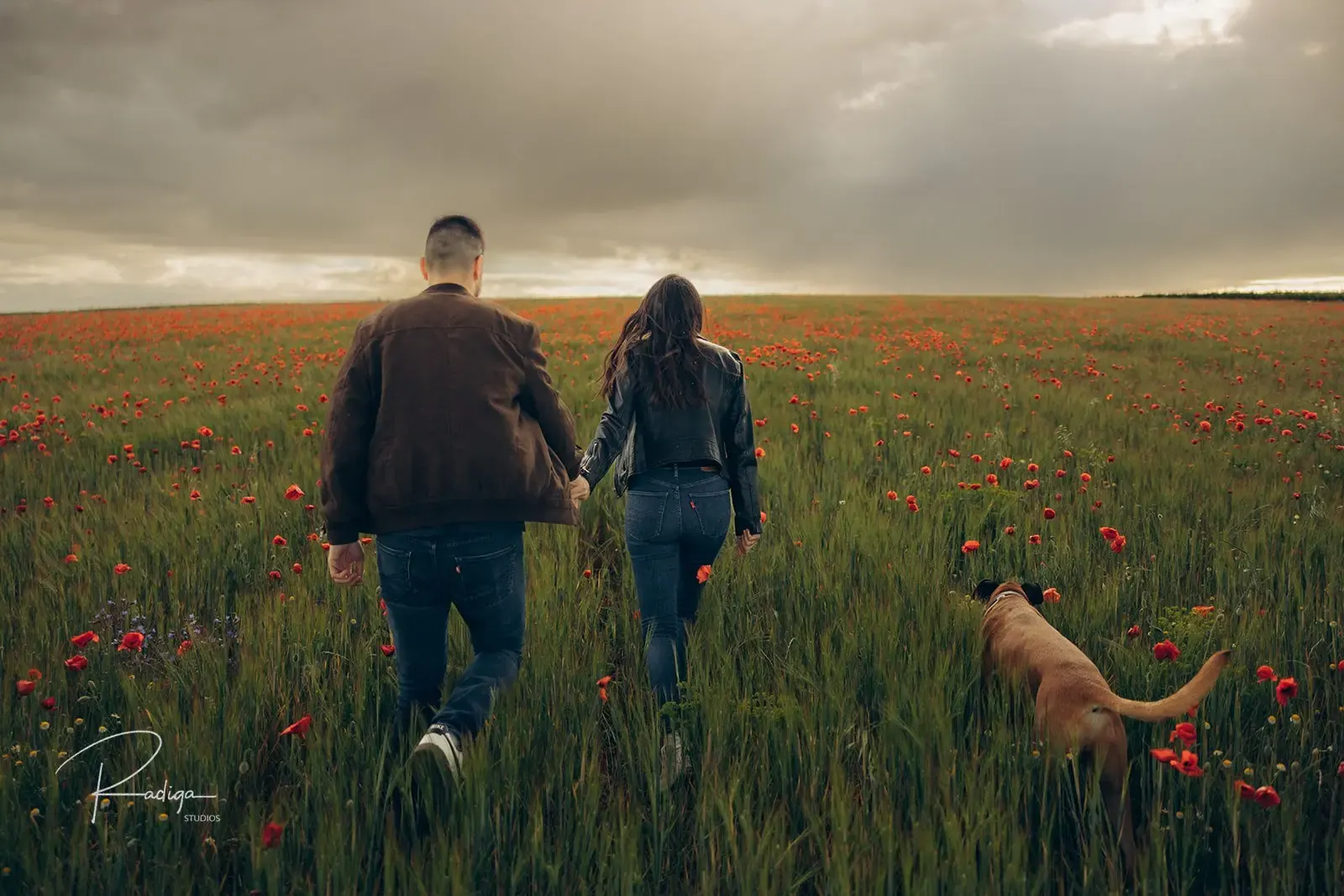 La pareja camina por un campo de amapolas seguida por su perro