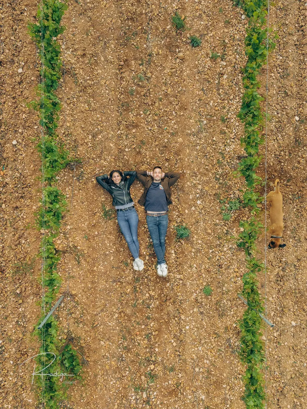 Vista aérea de la pareja tumbada entre dos hileras de viñas