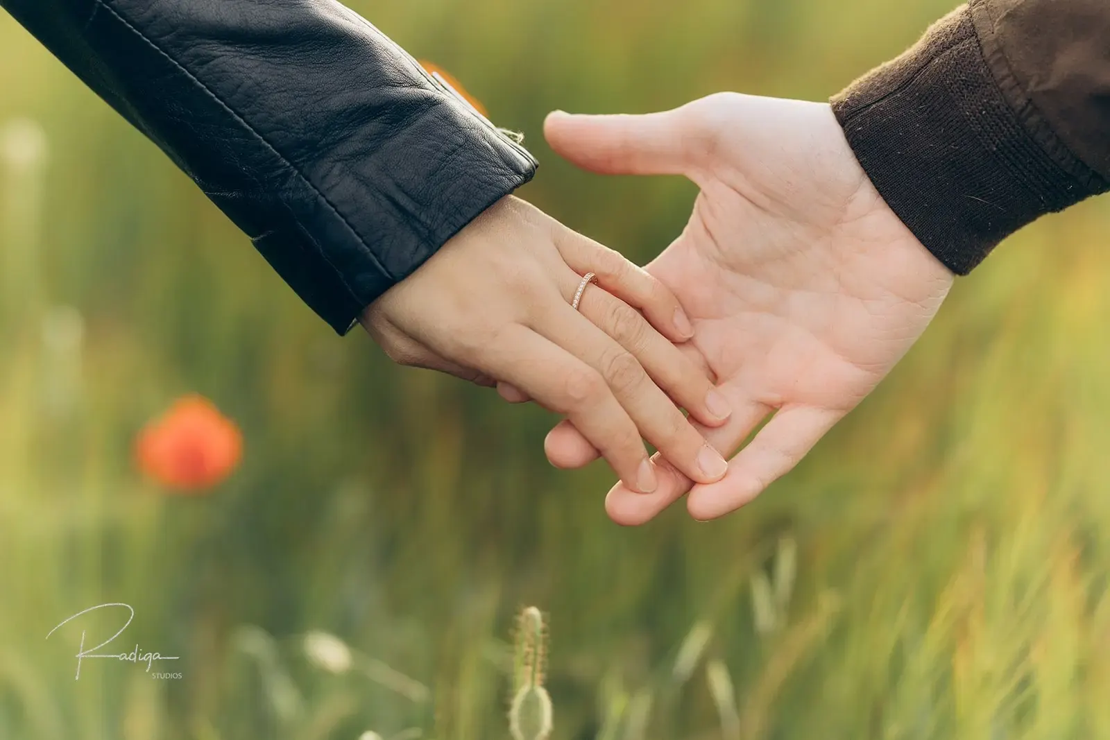 Las manos de la pareja a punto de tocarse sobre un campo de amapolas